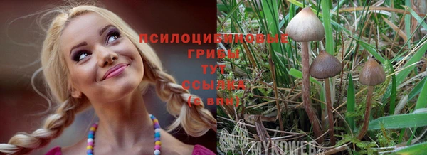 гашик Волоколамск