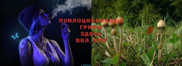 гашик Волоколамск