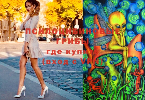 гашик Волоколамск